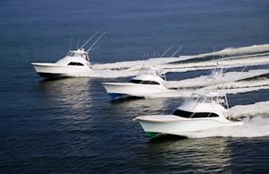 buddy davis yacht buddy davis boat